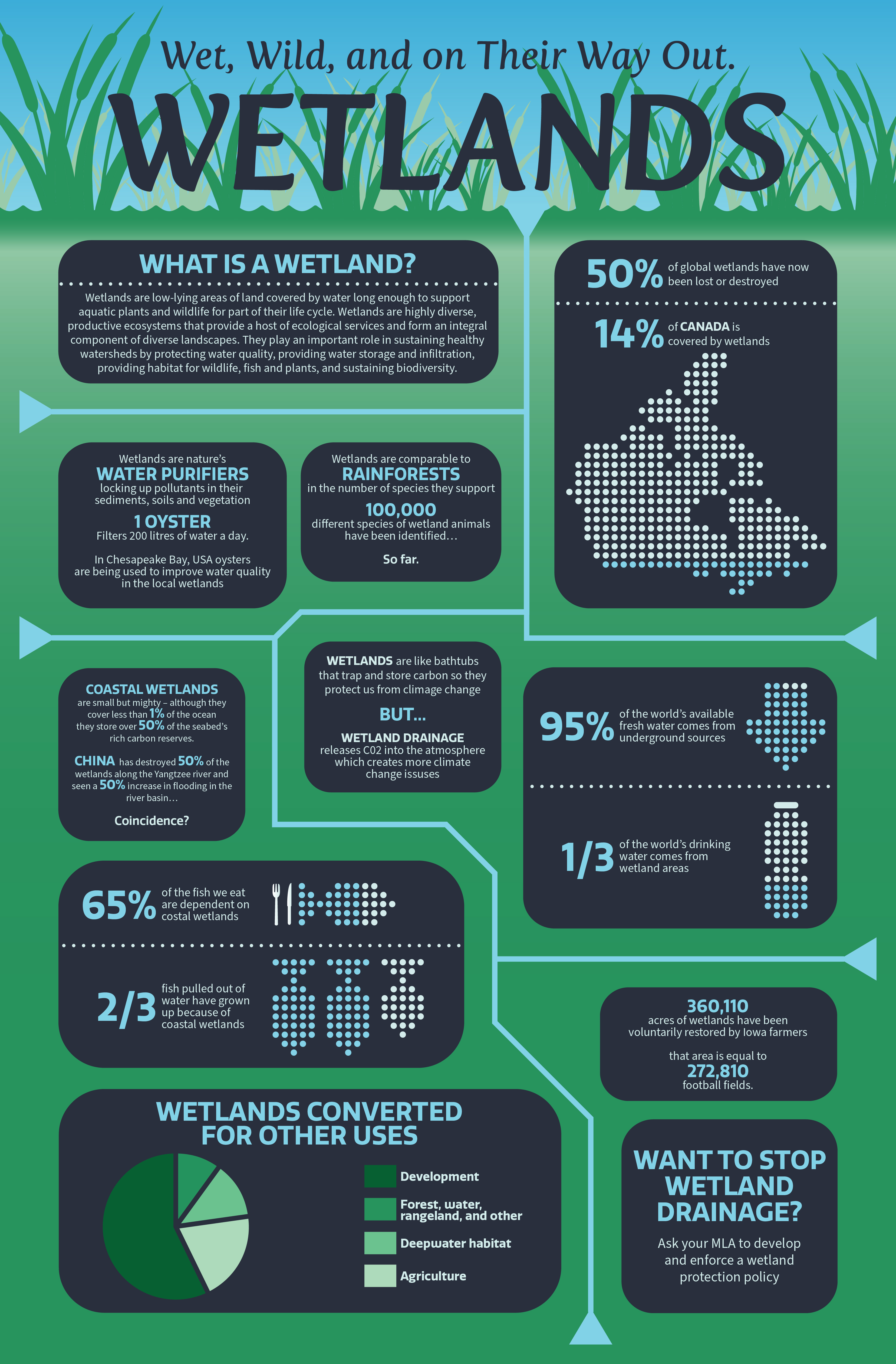 research topics related to wetlands